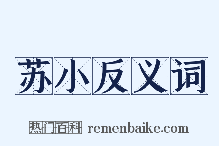 苏小反义词是什么意思的图片